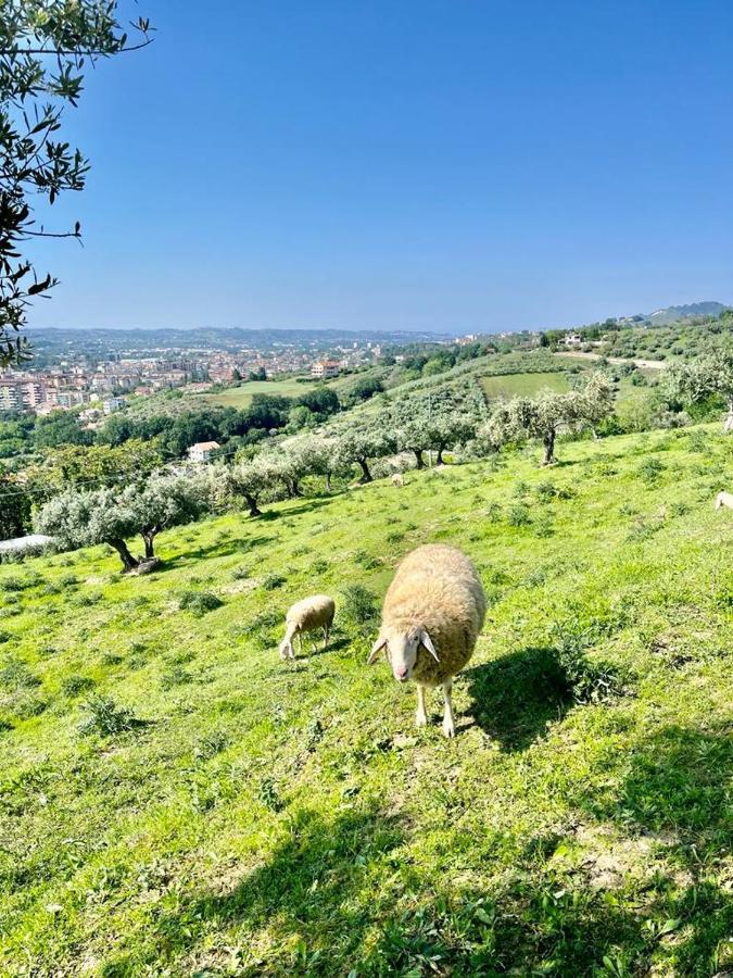 Mirabel Apartment Chieti Luaran gambar